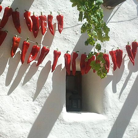 Hotel Rural Cortijo La Alberca Níjar Exterior foto