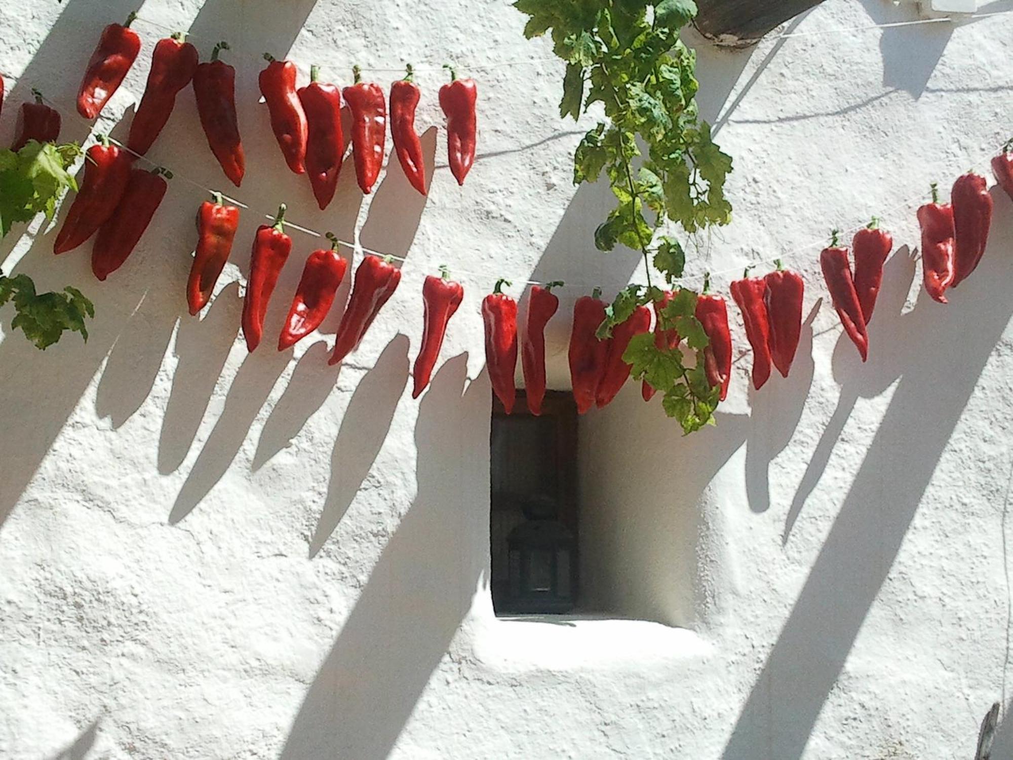 Hotel Rural Cortijo La Alberca Níjar Exterior foto